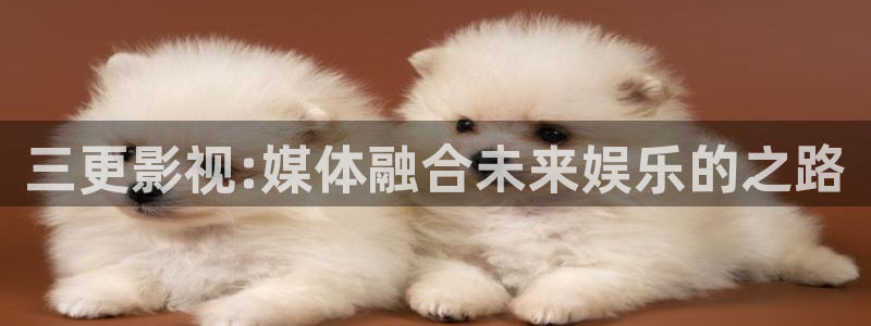奇优影院理论片：三更影视:媒体融合未来娱乐的之路