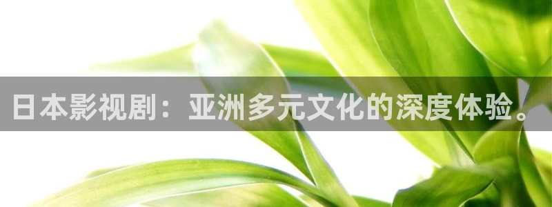 奇优影院在线播放免费高清电视剧：日本影视剧：亚洲多元文化的深度体验。