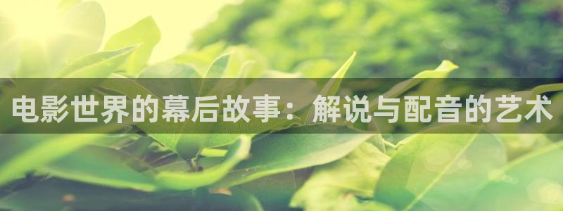 奇优影院手机版免费看：电影世界的幕后故事：解说与配音的艺术