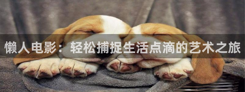 奇优影院捉妖记：懒人电影：轻松捕捉生活点滴的艺术之旅