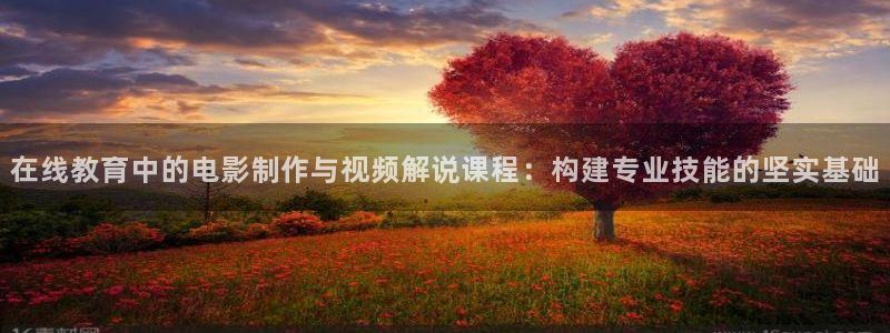 奇优影院免费在线播放：在线教育中的电影制作与视频解说课程：构建专业技能的坚实基础