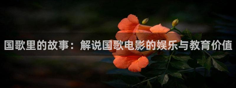 妻子的校友奇优影院：国歌里的故事：解说国歌电影的娱乐与教育价值