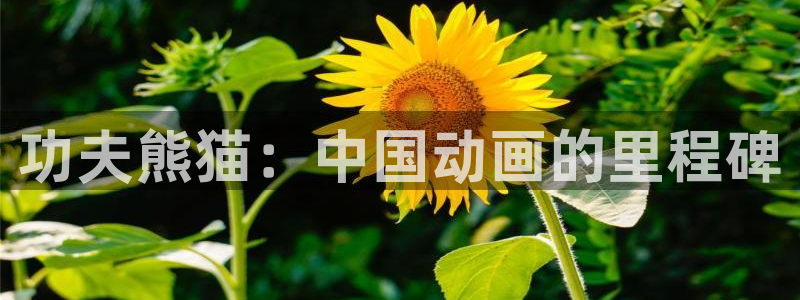 奇优影视手机免费：功夫熊猫：中国动画的里程碑