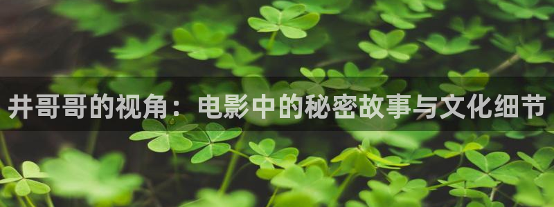 奇优影院高清电视剧：井哥哥的视角：电影中的秘密故事与文化细节