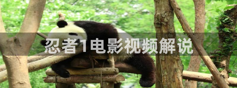 奇优影城：忍者1电影视频解说