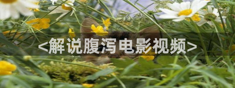 奇优影视连续剧手机版