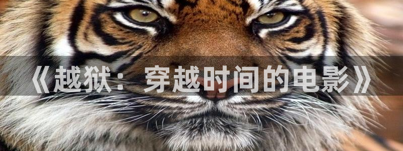 奇优影院高清免费：《越狱：穿越时间的电影》