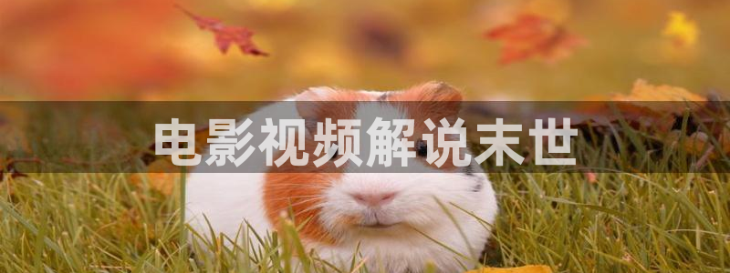 奇优影院善良：电影视频解说末世